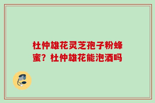 杜仲雄花灵芝孢子粉蜂蜜？杜仲雄花能泡酒吗