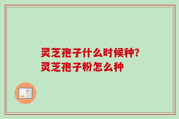 灵芝孢子什么时候种？灵芝孢子粉怎么种