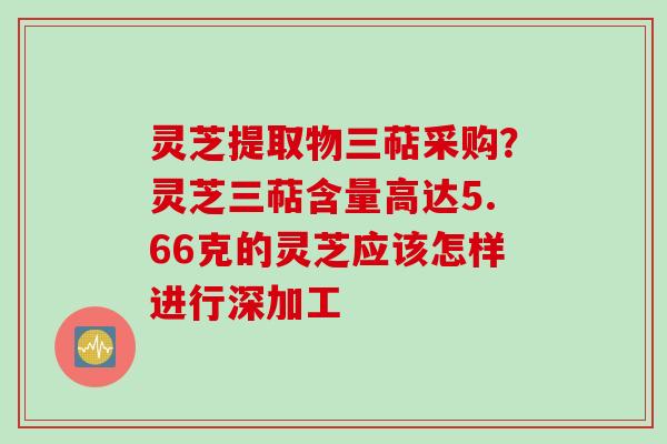 灵芝提取物三萜采购？灵芝三萜含量高达5.66克的灵芝应该怎样进行深加工