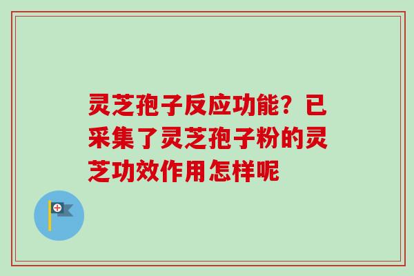 灵芝孢子反应功能？已采集了灵芝孢子粉的灵芝功效作用怎样呢