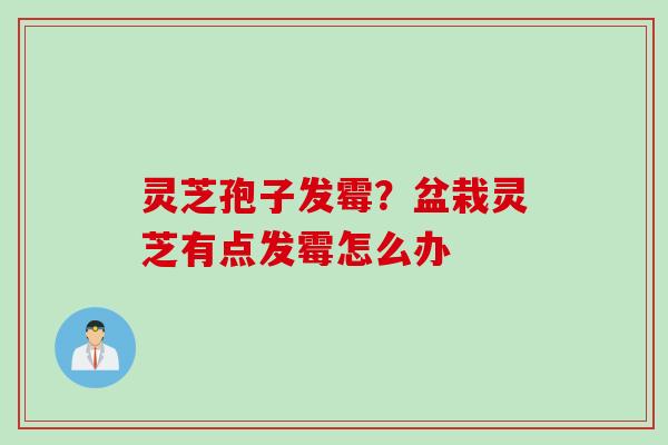 灵芝孢子发霉？盆栽灵芝有点发霉怎么办