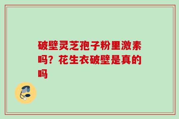 破壁灵芝孢子粉里激素吗？花生衣破壁是真的吗