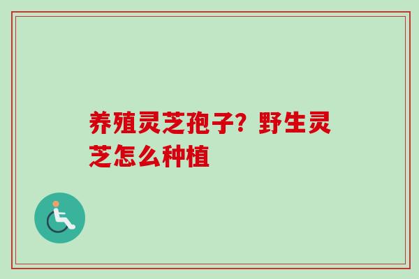 养殖灵芝孢子？野生灵芝怎么种植