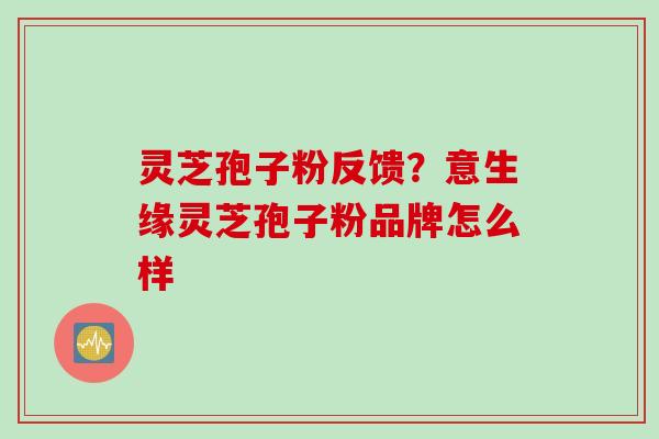 灵芝孢子粉反馈？意生缘灵芝孢子粉品牌怎么样