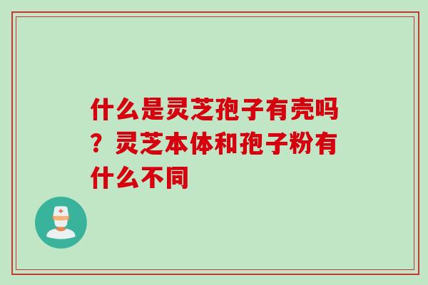 什么是灵芝孢子有壳吗？灵芝本体和孢子粉有什么不同