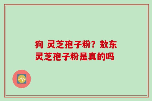 狗 灵芝孢子粉?敖东灵芝孢子粉是真的吗 狗 灵芝孢子粉?敖东灵芝孢子粉是真的吗