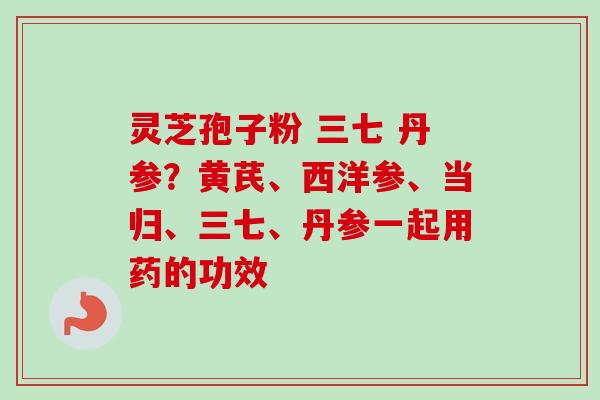 灵芝孢子粉 三七 丹参？黄芪、西洋参、当归、三七、丹参一起用药的功效