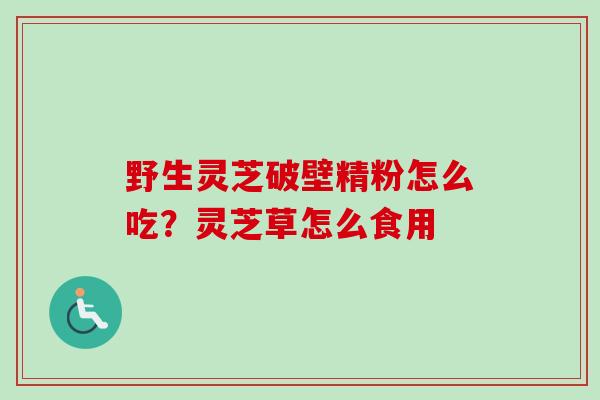 野生灵芝破壁精粉怎么吃？灵芝草怎么食用