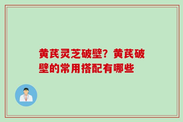 黄芪灵芝破壁？黄芪破壁的常用搭配有哪些