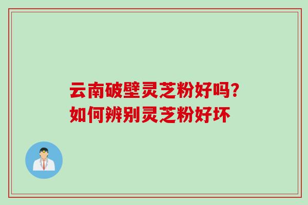 云南破壁灵芝粉好吗？如何辨别灵芝粉好坏