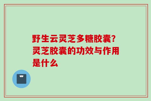 野生云灵芝多糖胶囊？灵芝胶囊的功效与作用是什么