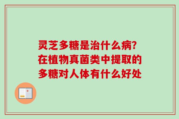 灵芝多糖是治什么病？在植物真菌类中提取的多糖对人体有什么好处