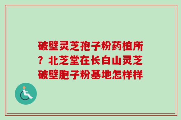 破壁灵芝孢子粉药植所？北芝堂在长白山灵芝破壁胞子粉基地怎样样