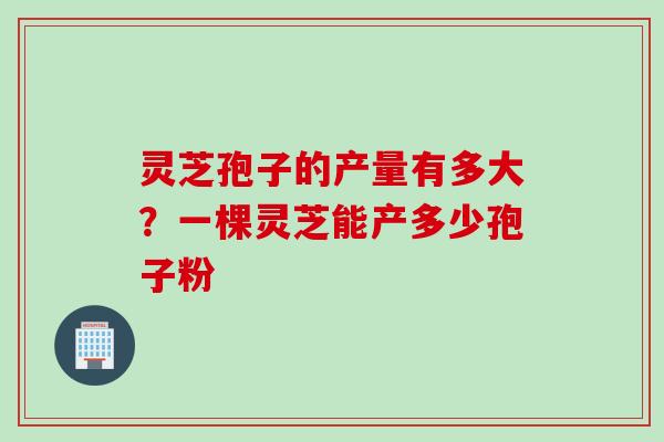 灵芝孢子的产量有多大？一棵灵芝能产多少孢子粉