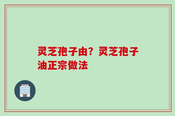 灵芝孢子由？灵芝孢子油正宗做法