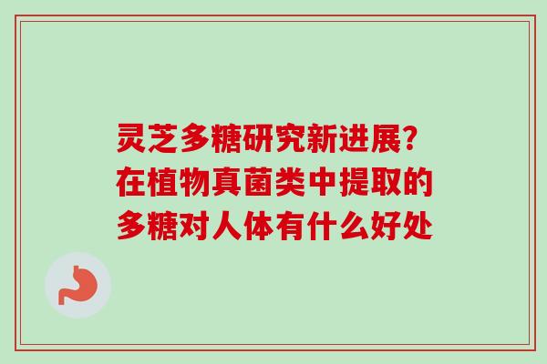 灵芝多糖研究新进展？在植物真菌类中提取的多糖对人体有什么好处