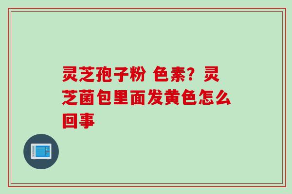 灵芝孢子粉 色素？灵芝菌包里面发黄色怎么回事