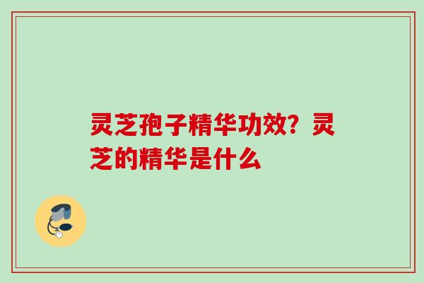灵芝孢子精华功效？灵芝的精华是什么