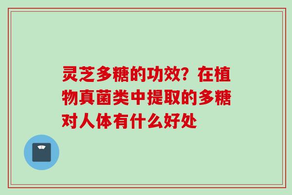 灵芝多糖的功效？在植物真菌类中提取的多糖对人体有什么好处