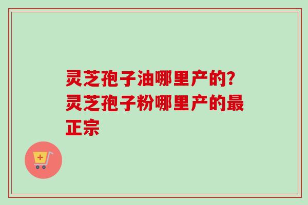 灵芝孢子油哪里产的？灵芝孢子粉哪里产的最正宗