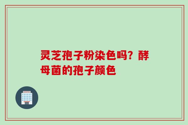 灵芝孢子粉染色吗？酵母菌的孢子颜色
