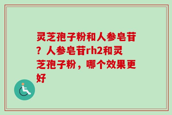 灵芝孢子粉和人参皂苷？人参皂苷rh2和灵芝孢子粉，哪个效果更好