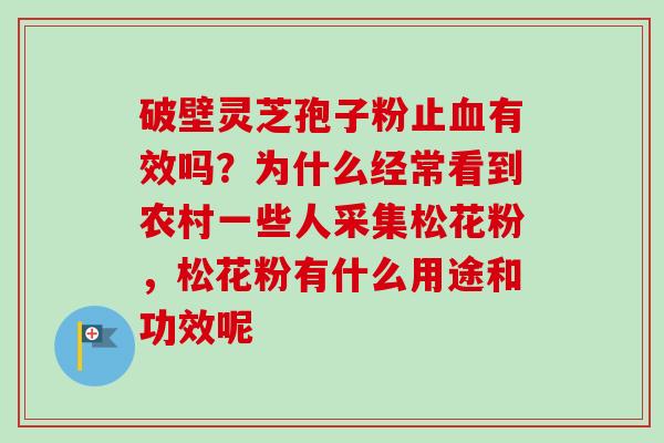 破壁灵芝孢子粉止有效吗?为什么经常看到农村一些人采集松花粉,松花粉有什么用途和功效呢 破壁灵芝孢子粉止有效吗?为什么经常看到农村一些人采集松花粉,松花粉有什么用途和功效呢
