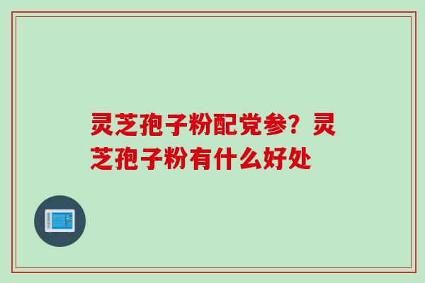 灵芝孢子粉配党参？灵芝孢子粉有什么好处