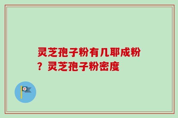 灵芝孢子粉有几耶成粉？灵芝孢子粉密度