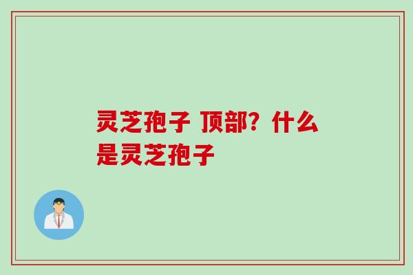 灵芝孢子 顶部?什么是灵芝孢子 灵芝孢子 顶部?什么是灵芝孢子
