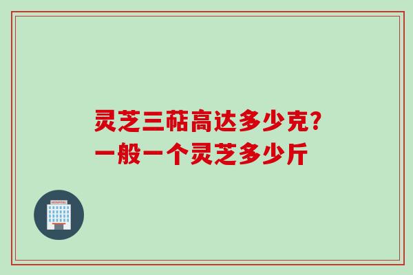 灵芝三萜高达多少克？一般一个灵芝多少斤