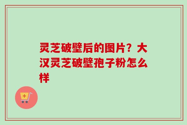 灵芝破壁后的图片？大汉灵芝破壁孢子粉怎么样