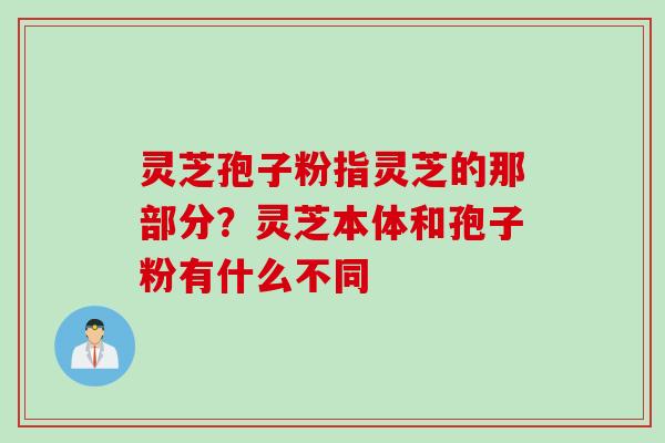 灵芝孢子粉指灵芝的那部分？灵芝本体和孢子粉有什么不同
