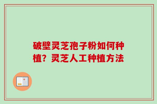 破壁灵芝孢子粉如何种植?灵芝人工种植方法 破壁灵芝孢子粉如何种植?灵芝人工种植方法