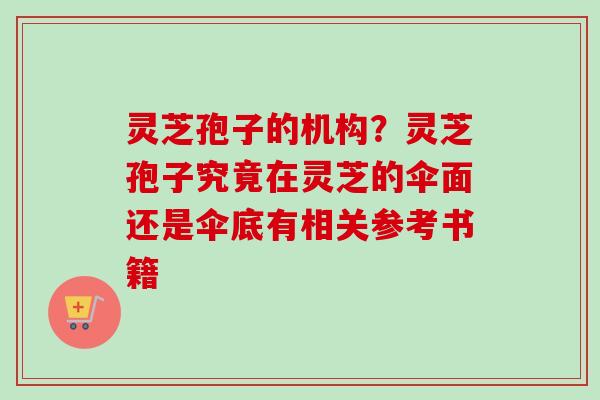 灵芝孢子的机构？灵芝孢子究竟在灵芝的伞面还是伞底有相关参考书籍