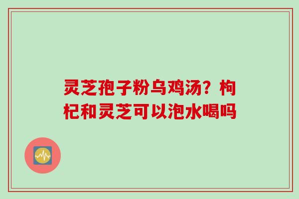 灵芝孢子粉乌鸡汤？枸杞和灵芝可以泡水喝吗