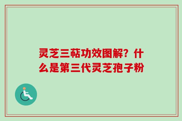 灵芝三萜功效图解？什么是第三代灵芝孢子粉