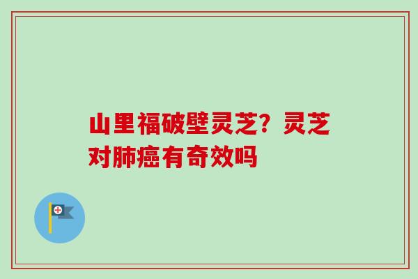 山里福破壁灵芝？灵芝对肺癌有奇效吗