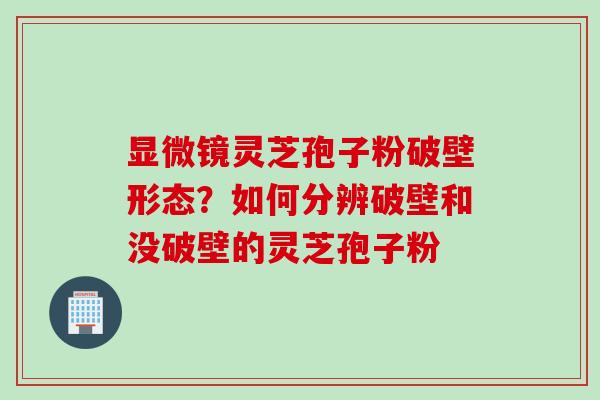 显微镜灵芝孢子粉破壁形态？如何分辨破壁和没破壁的灵芝孢子粉