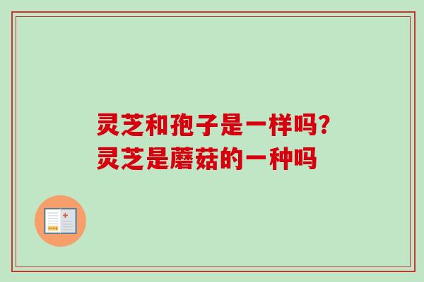 灵芝和孢子是一样吗？灵芝是蘑菇的一种吗