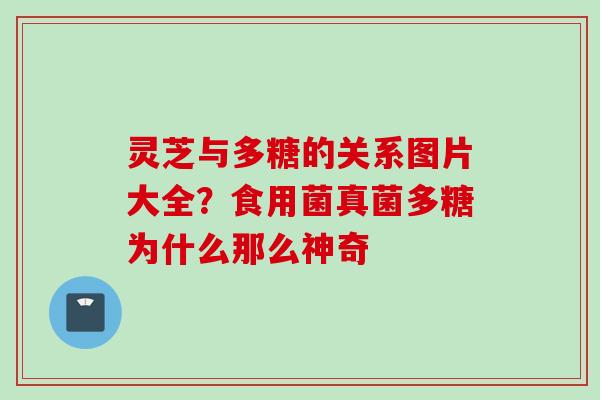 灵芝与多糖的关系图片大全？食用菌真菌多糖为什么那么神奇