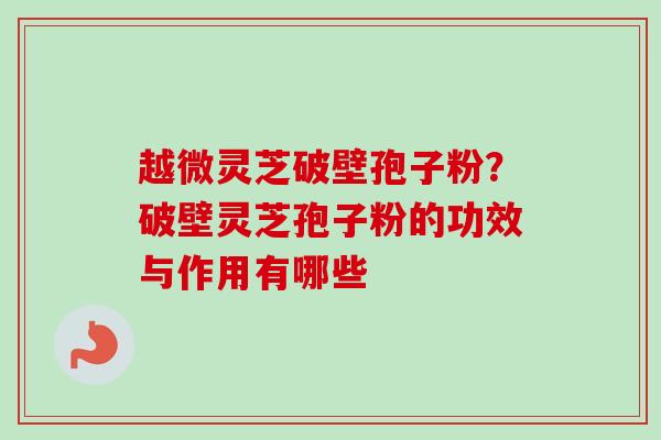 越微灵芝破壁孢子粉?破壁灵芝孢子粉的功效与作用有哪些 越微灵芝破壁孢子粉?破壁灵芝孢子粉的功效与作用有哪些