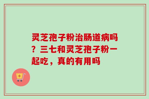 灵芝孢子粉治肠道病吗？三七和灵芝孢子粉一起吃，真的有用吗
