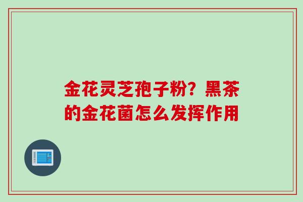 金花灵芝孢子粉？黑茶的金花菌怎么发挥作用