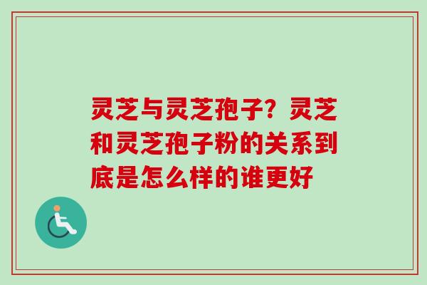 灵芝与灵芝孢子?灵芝和灵芝孢子粉的关系到底是怎么样的谁更好 灵芝与灵芝孢子?灵芝和灵芝孢子粉的关系到底是怎么样的谁更好