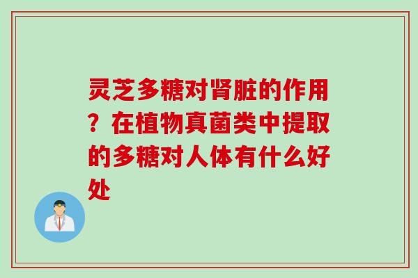 灵芝多糖对脏的作用？在植物真菌类中提取的多糖对人体有什么好处