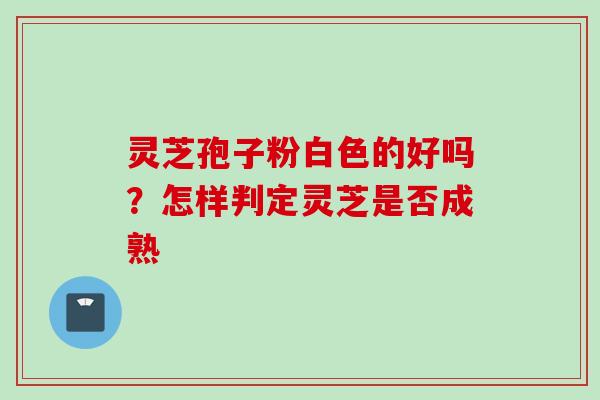 灵芝孢子粉白色的好吗？怎样判定灵芝是否成熟