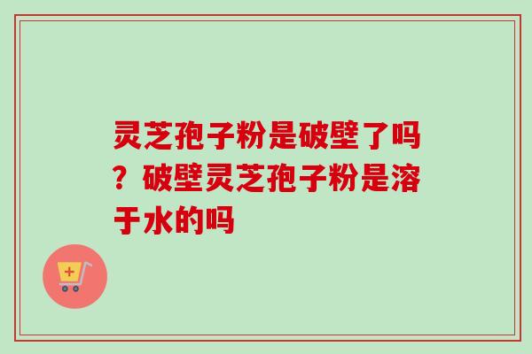 灵芝孢子粉是破壁了吗？破壁灵芝孢子粉是溶于水的吗
