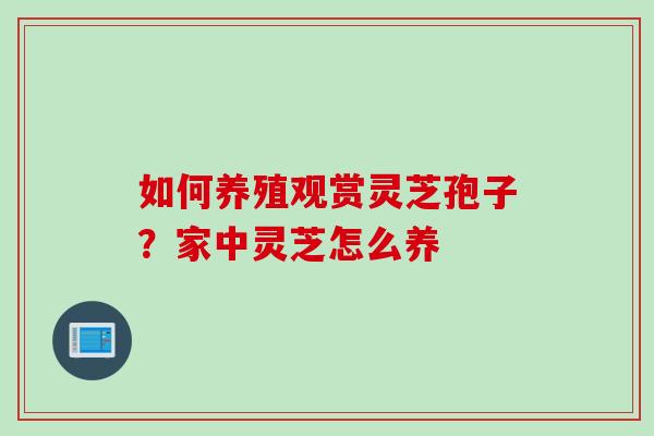 如何养殖观赏灵芝孢子？家中灵芝怎么养