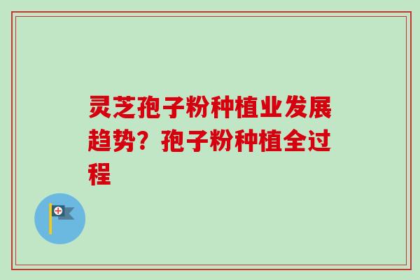 灵芝孢子粉种植业发展趋势？孢子粉种植全过程